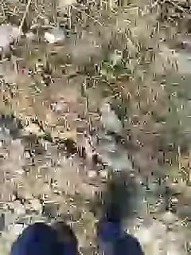 ThethunderPo online show from December 28, 2024, 2:43 am