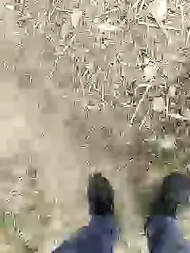 ThethunderPo online show from January 4, 2025, 2:46 pm