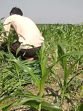 ThethunderPo online show from March 3, 2025, 4:25 am