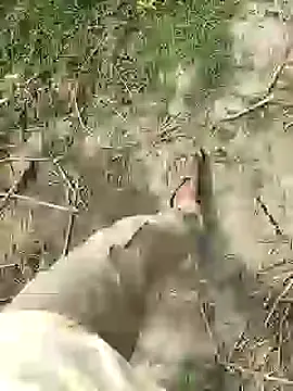 ThethunderPo online show from February 25, 2026, 7:51 am