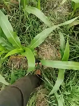 ThethunderPo online show from March 15, 2026, 4:29 am