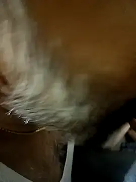 bossno2596 online show from April 22, 2026, 9:33 am