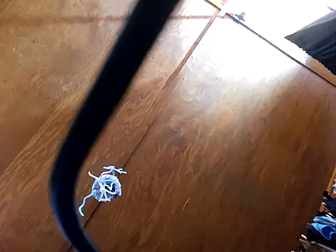 UncutHammer69 online show from April 14, 2026, 9:21 pm