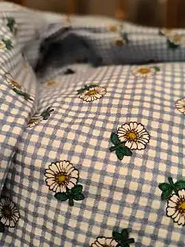 geilerboy2628 online show from March 13, 2026, 2:07 am