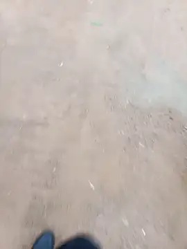 2soyte online show from January 18, 2026, 4:05 am