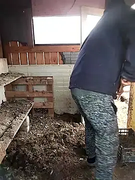 sarpe4 online show from February 28, 2026, 6:47 am