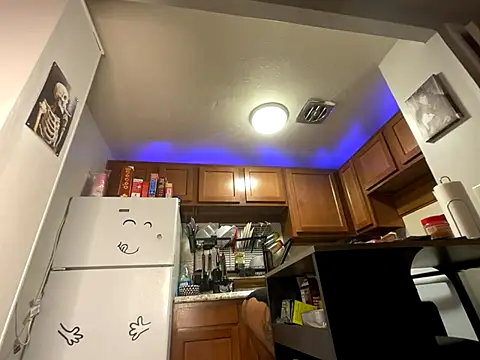 odbodu online show from October 4, 2025, 10:13 am