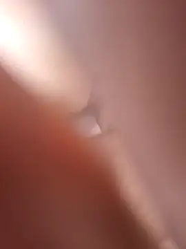 Bull8 online show from April 19, 2026, 8:24 am