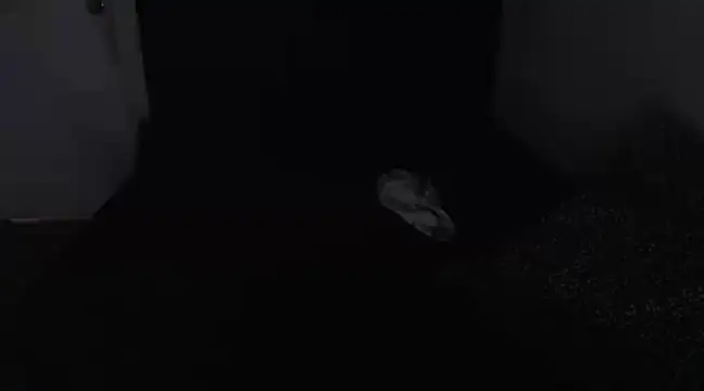 Chanelsexyy online show from March 16, 2025, 8:43 pm