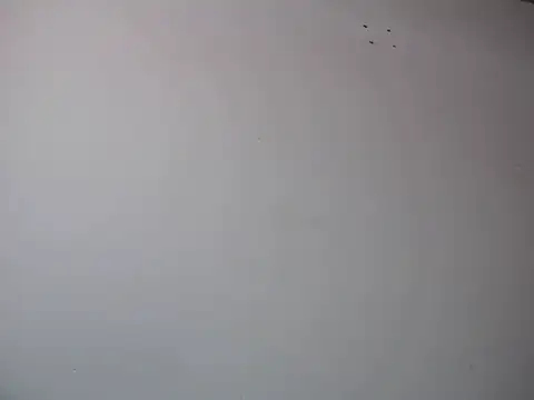 Mia davis01 online show from January 12, 2025, 8:14 pm