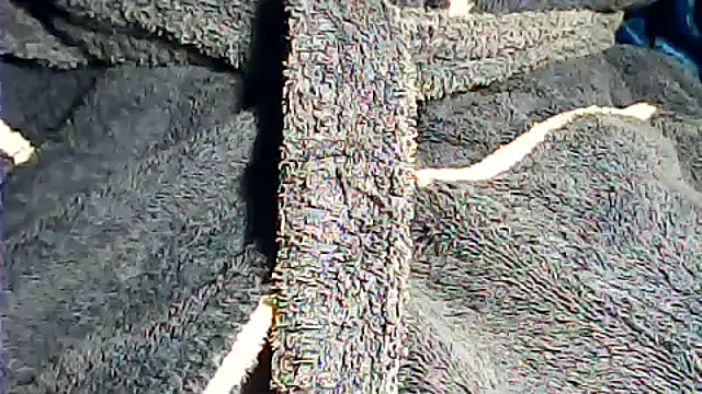 kalinixta online show from October 2, 2025, 7:32 pm