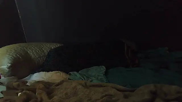 k-dong online show from February 1, 2026, 4:49 pm