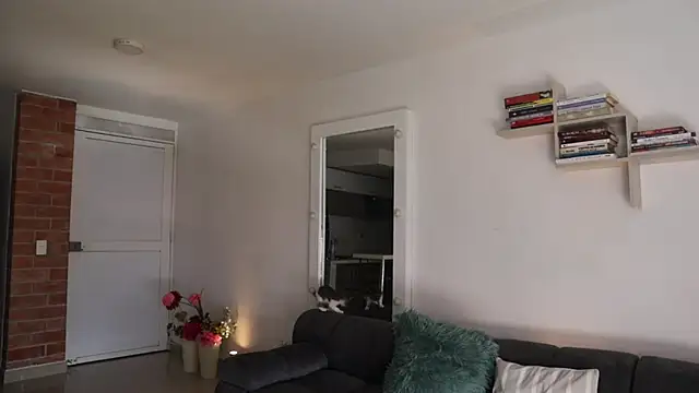  Vahos  online show from November 28, 2025, 5:15 pm