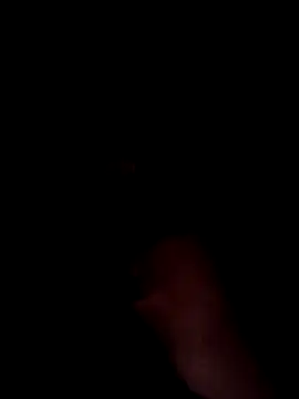 Latin summer online show from December 8, 2024, 11:40 pm