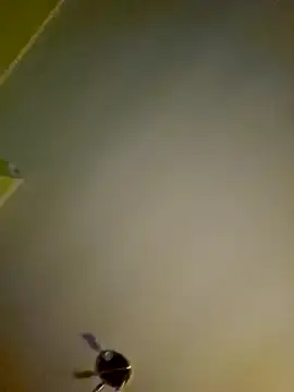 Snapshot of NiceHunter89 chatting on January 12, 2025, 1:11 am NiceHunter89 online show from January 12, 2025, 1:11 am