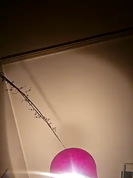 Snapshot of NiceHunter89 chatting on February 5, 2025, 10:22 pm NiceHunter89 online show from February 5, 2025, 10:22 pm