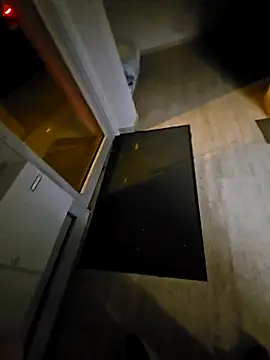 Snapshot of NiceHunter89 chatting on February 20, 2025, 1:14 am NiceHunter89 online show from February 20, 2025, 1:14 am