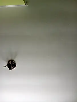 Snapshot of NiceHunter89 chatting on February 20, 2025, 10:37 am NiceHunter89 online show from February 20, 2025, 10:37 am