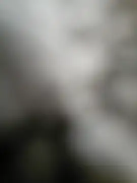 Snapshot of NiceHunter89 chatting on September 15, 2025, 2:50 pm NiceHunter89 online show from September 15, 2025, 2:50 pm