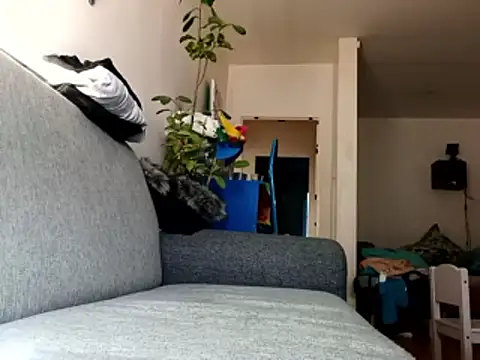 ganjaman871231 online show from February 28, 2026, 10:05 am