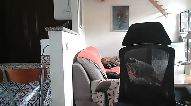 simona60 online show from February 23, 2025, 2:14 pm