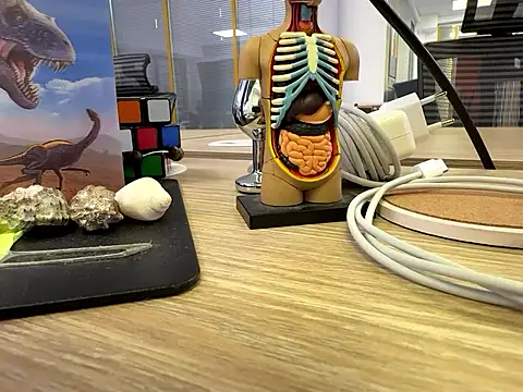 fmodel online show from September 24, 2025, 11:24 am