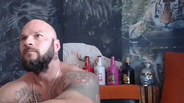 viking 30 online show from September 17, 2025, 10:17 am