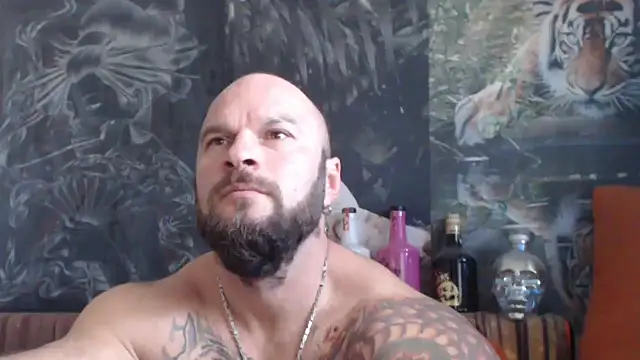 viking 30 online show from October 21, 2025, 5:52 am