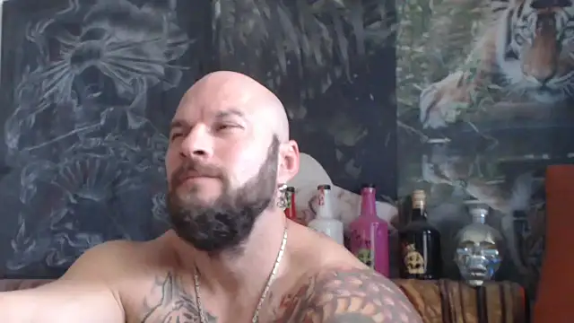 viking 30 online show from October 24, 2025, 6:54 am