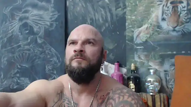 viking 30 online show from October 31, 2025, 8:21 pm