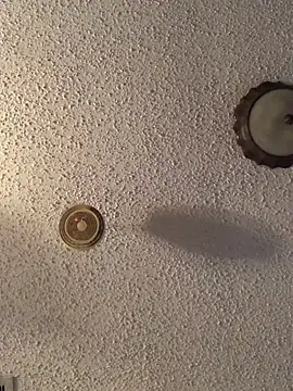 danieldonte online show from April 23, 2026, 12:51 pm