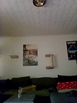 Codymc89 online show from June 30, 2026, 2:18 pm