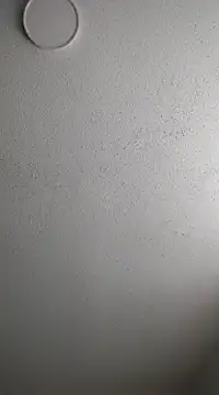 6lue6a6y69 online show from February 3, 2025, 12:58 am