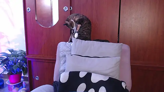 Snapshot of Raventh_ chatting on February 13, 2026, 1:07 pm Raventh online show from February 13, 2026, 1:07 pm