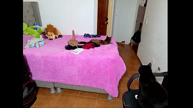 emily honter online show from December 14, 2025, 8:46 pm