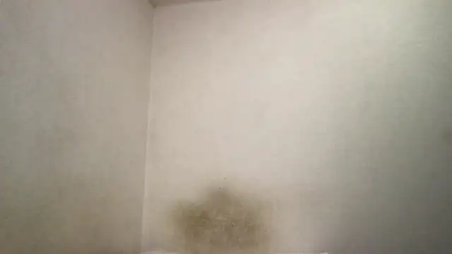 Magicwordsforme online show from March 15, 2025, 12:25 am