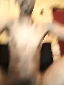 Latrel01 online show from December 18, 2025, 11:33 pm