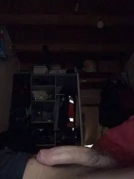 Chris-LE91 online show from January 15, 2026, 3:55 am