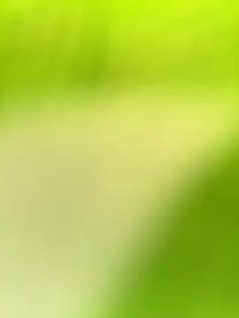 Dhiyapink online show from December 21, 2024, 3:58 am