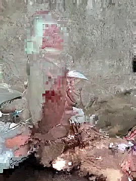 Tharki boys online show from October 1, 2025, 11:05 am