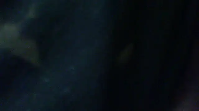 Snapshot of Billywax chatting on February 2, 2026, 9:30 am Billywax online show from February 2, 2026, 9:30 am