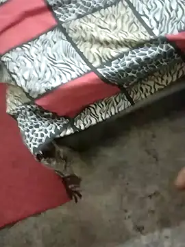 Snapshot of rameshmry1 chatting on January 21, 2025, 1:50 am rameshmry1 online show from January 21, 2025, 1:50 am