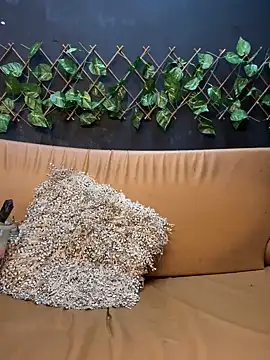 Snapshot of uma_patna000 chatting on January 12, 2025, 9:51 pm uma patna000 online show from January 12, 2025, 9:51 pm