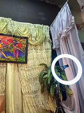 Snapshot of uma_patna000 chatting on February 4, 2025, 7:51 am uma patna000 online show from February 4, 2025, 7:51 am