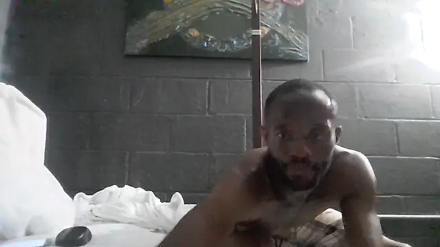 Maculine Stayr online show from May 21, 2026, 11:39 am