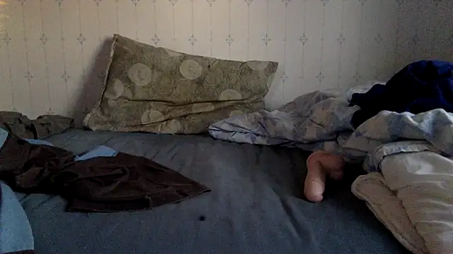 hamstergrabben online show from March 17, 2025, 4:54 pm