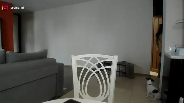  in yan online show from February 18, 2026, 3:57 am