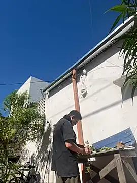 Snapshot of Alicbranca chatting on May 2, 2026, 3:50 pm Alicbranca online show from May 2, 2026, 3:50 pm