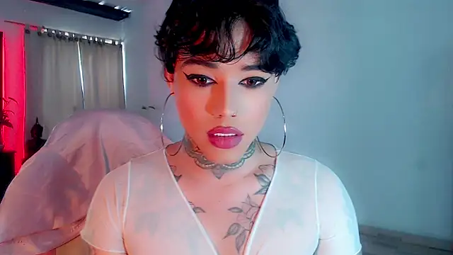 little star porn online show from February 20, 2025, 4:14 pm