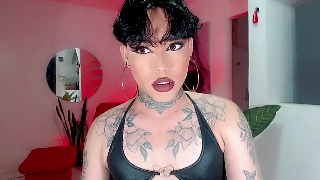 little star porn online show from November 27, 2025, 3:30 am